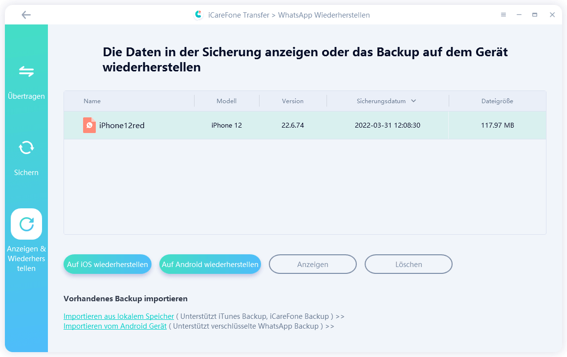 iPhone-Daten mit icarefone transfer analysieren