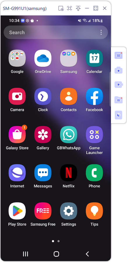 screen mirroring window