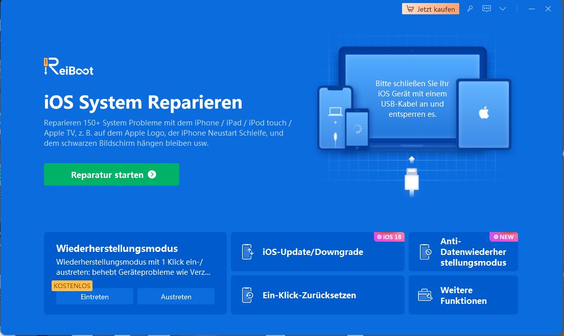 ReiBoot iOS Update/Downgrade