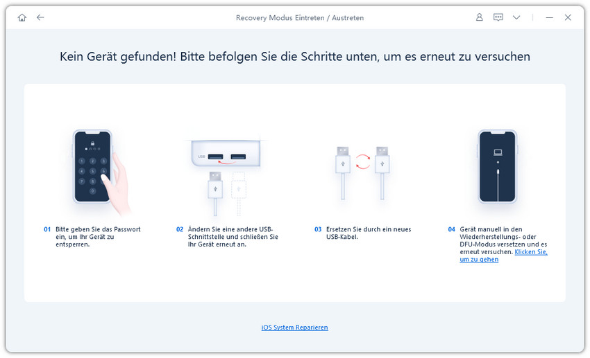 Herunterladen von Tenorshare ReiBoot