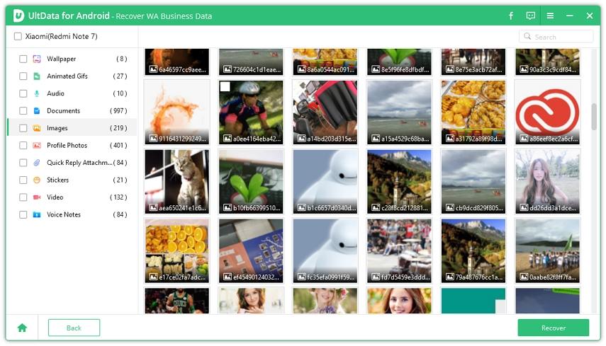 wie man gelöschte WhatsApp Business-Nachrichten wiederherstellt