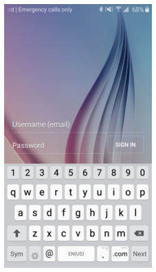 Verwenden Sie Google Login, um das Muster zurückzusetzen