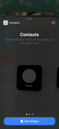 ios 15 contacts widget not working