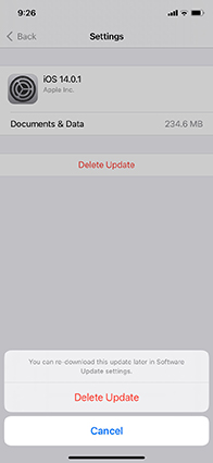 delete ios 15 update