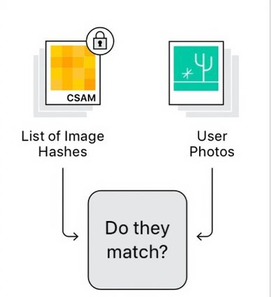 apple csam detection