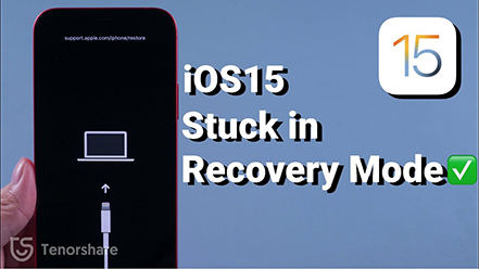 downgrade stuck in recovery mode