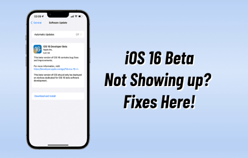 ios 16 not showing up