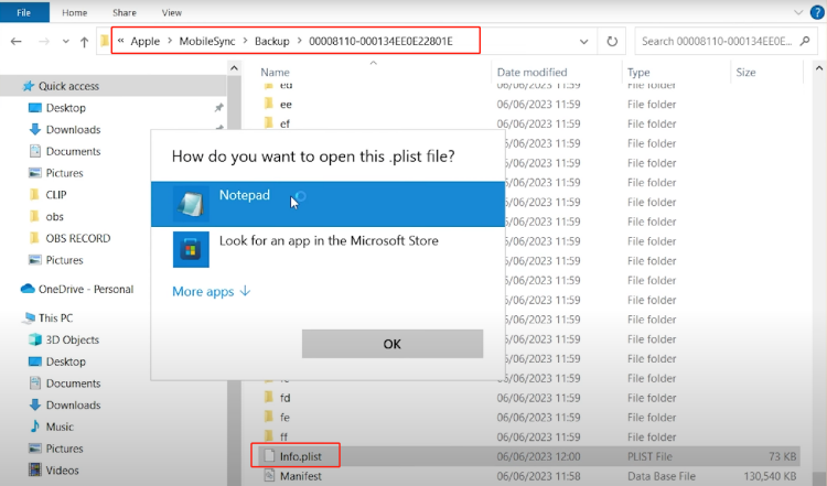 mobiesync backup info