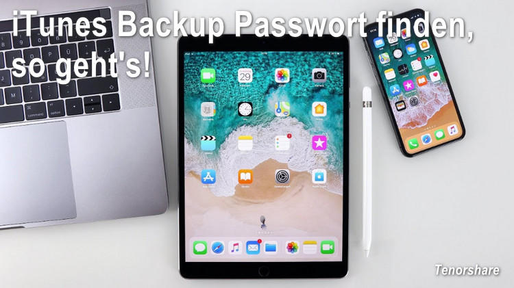 iTunes Backup Passwort finden