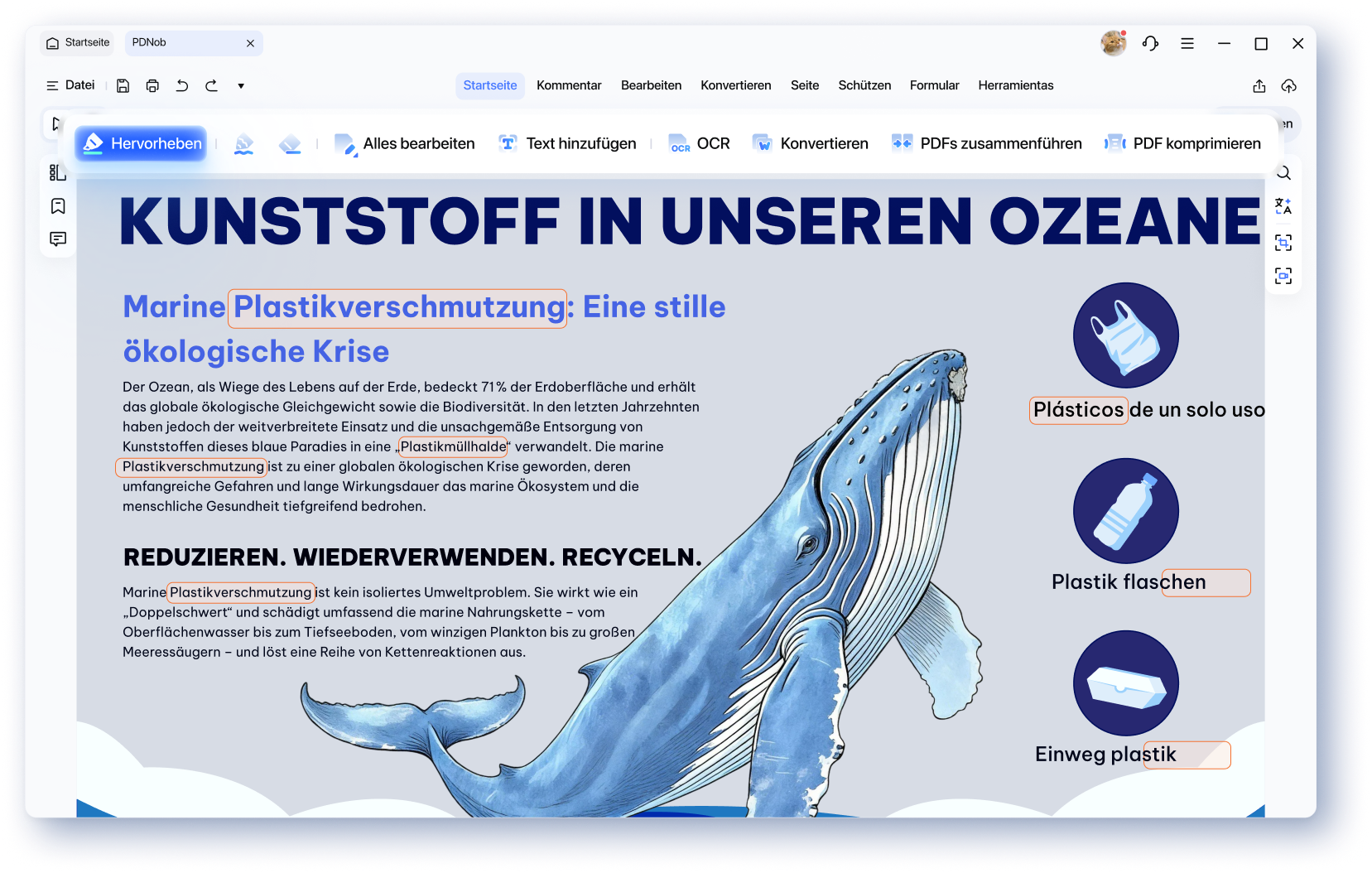 Intelligent Search and Replace