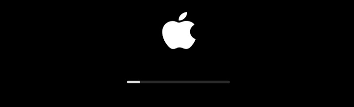 Reiboot iOS Update steckt