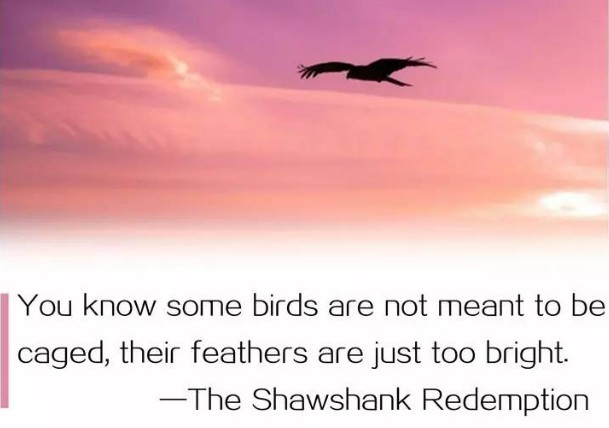 die verurteilen bird