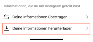 instagram informationen herunterladen