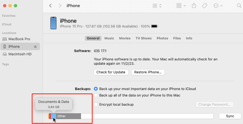 iTunes iPhone-Speicher überprüfen