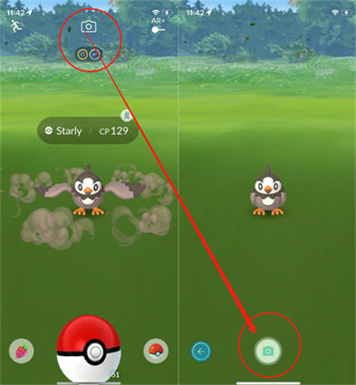 how to take a snapshot of wild pokemon