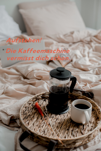 whatsapp lustige guten morgen grüße bilder kostenlos