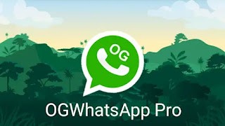opción reparar problemas ios